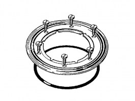 ANILLO DE APRIETE ADVANTIX VIEGA